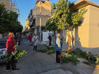 Νίκαια – Ρέντης: Ξεκίνησε το πρόγραμμα κλαδεμάτων από τα Άσπρα Χώματα