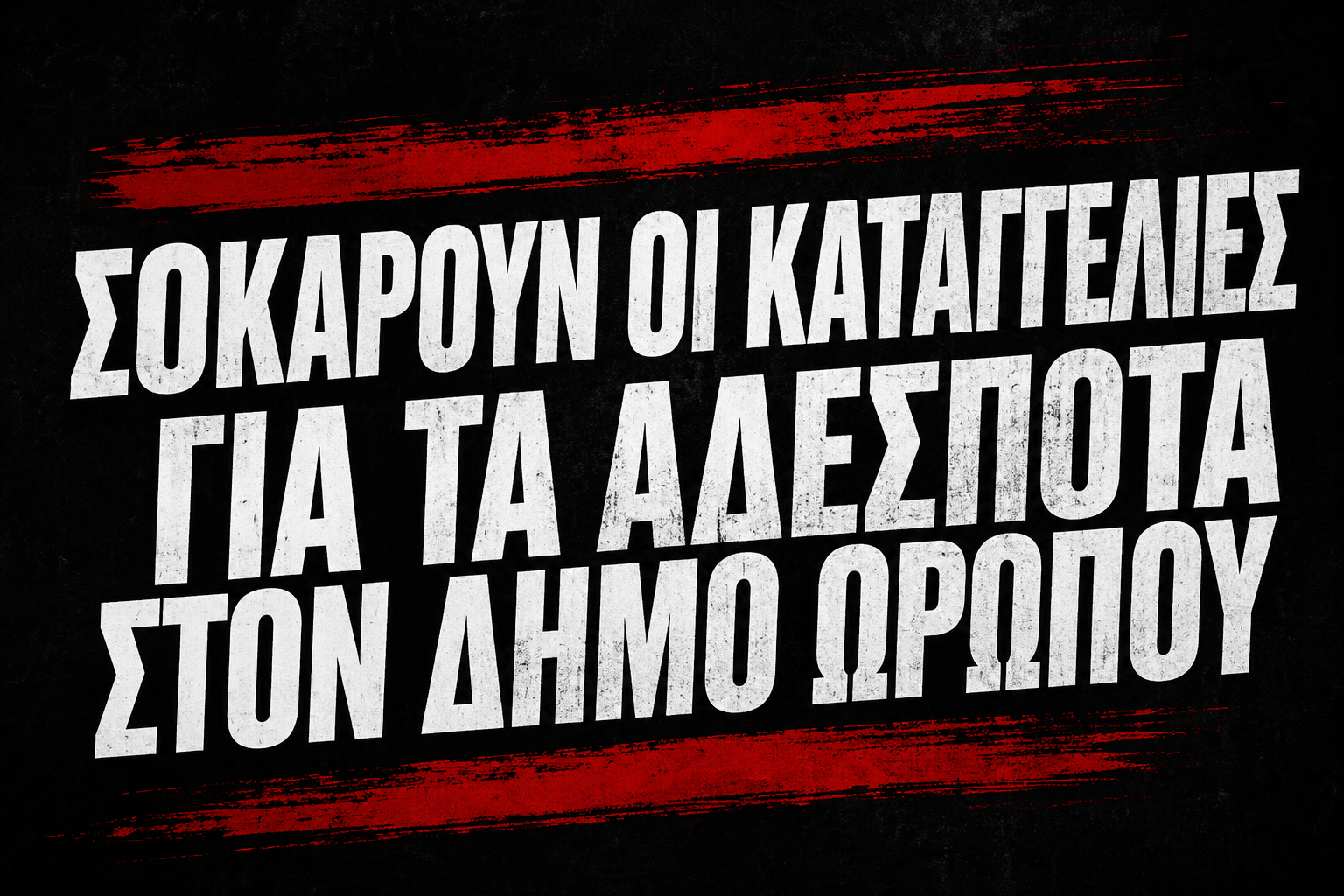 Έκρηξη καταγγελιών για τα αδέσποτα στον Δήμο Ωρωπού – «Με αυτή την επιτροπή θα μας έχετε απέναντί σας»!