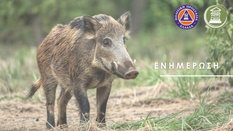 Άγρια ζώα στο Ποικίλο Όρος: οδηγίες προστασίας και συστάσεις του Δήμου Πετρούπολης