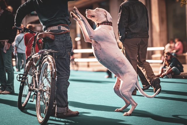 shutterstock_2493069513-1