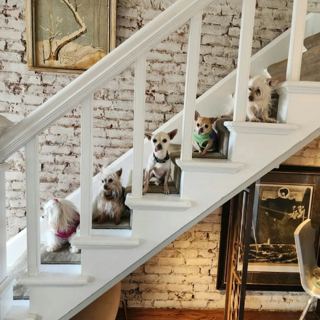 snapinsta_to_325658379_529340815963824_7277043744789140361_n-2