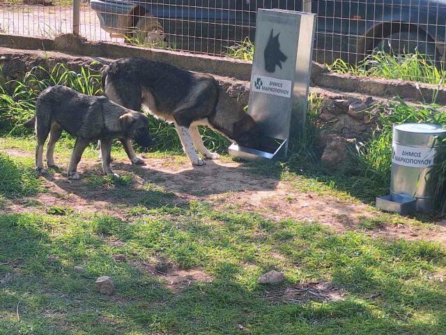 taistres_markopoulo-1