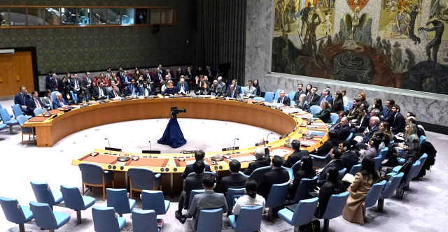 united-nations-security-council-mak-1