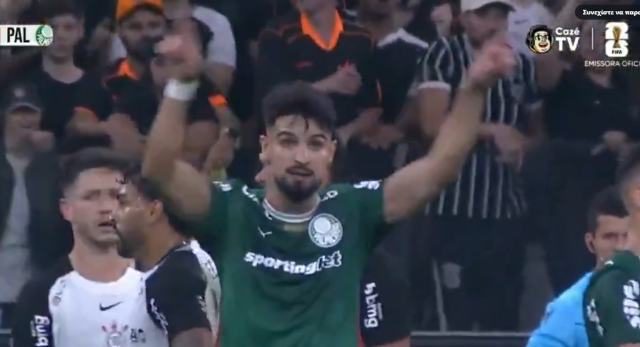 palmeiras