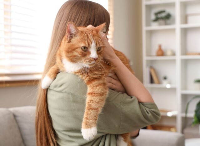 shutterstock_2612936165-e1775648249956