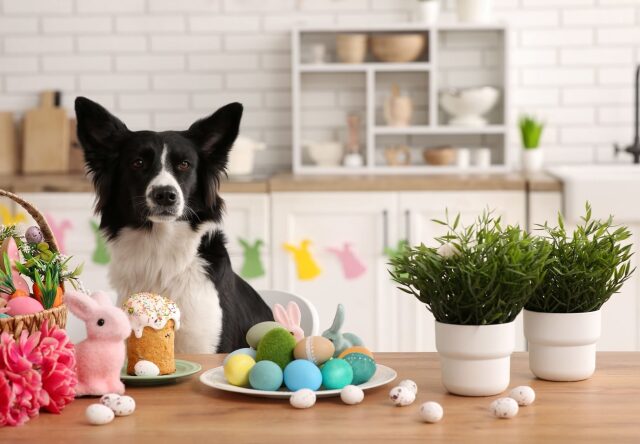 shutterstock_2755079175-e1775731844738