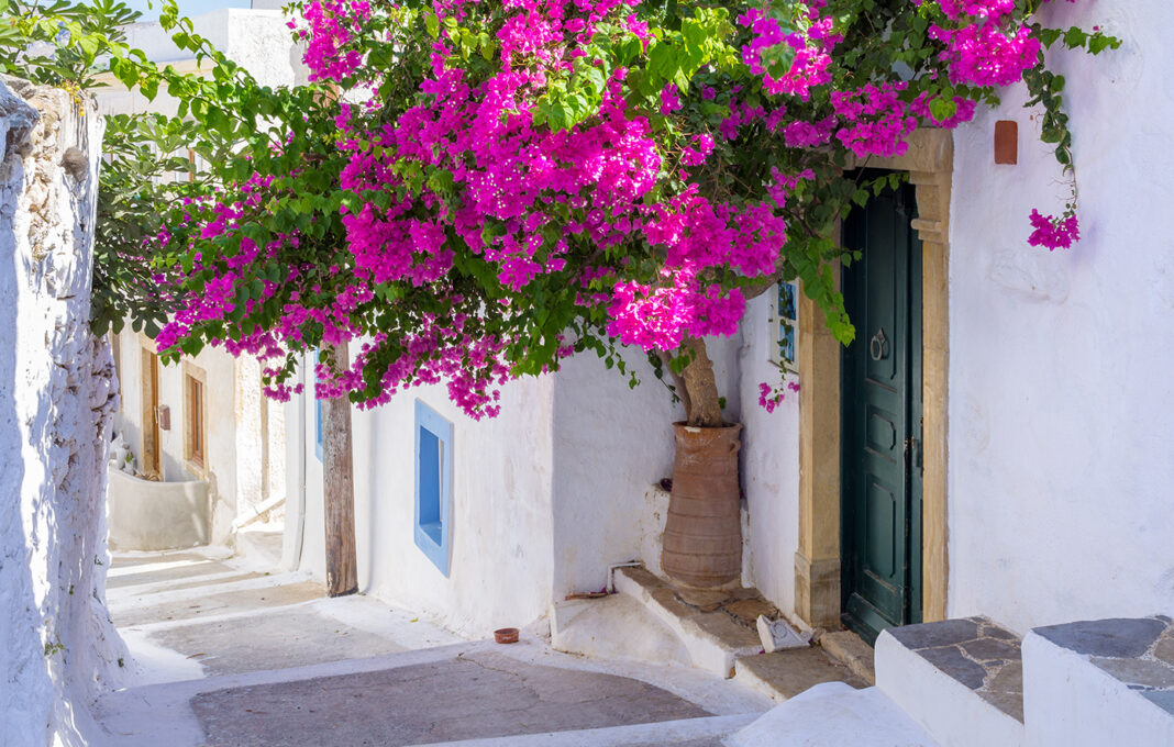 leros4