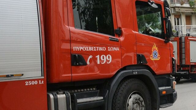 pirosvestiki-1