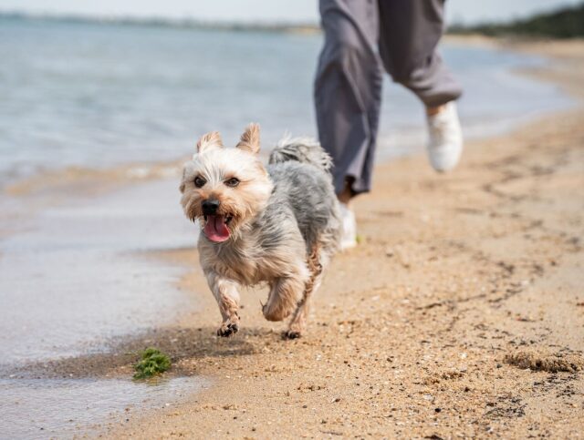 shutterstock_2484370373-e1780401210766