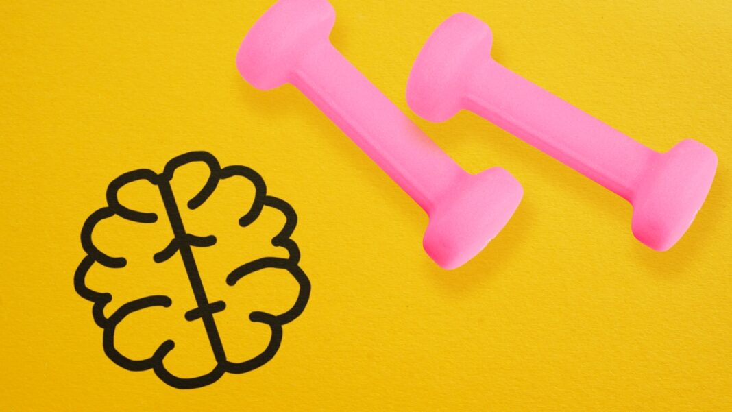 brain_train